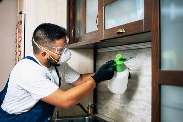 Best Best Pest Control Companies  in Carbondale, KS