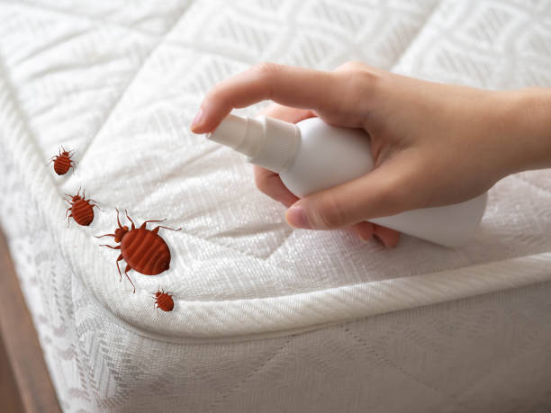 Best Local Pest Control Services  in Carbondale, KS